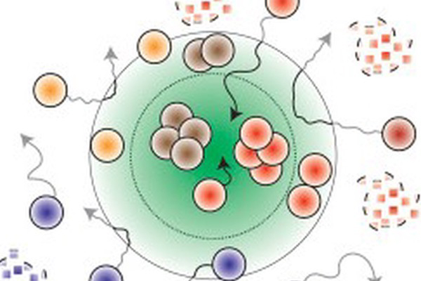RNA dance